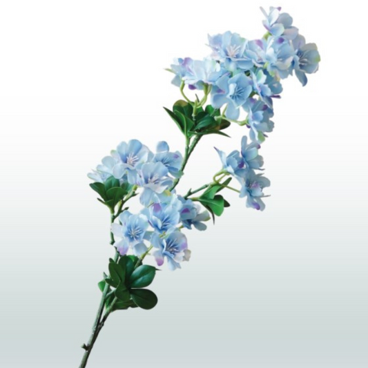 Jasmijn Bloesem 80cm